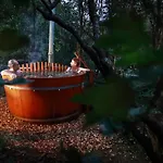 Bed & Breakfast Viridis Buekkalja Borsodgeszt