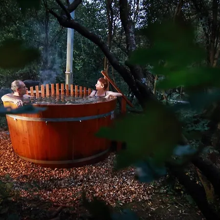 Bed & Breakfast Viridis Buekkalja Borsodgeszt