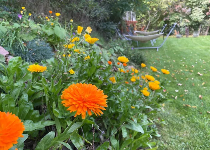 Viridis Buekkalja B&B Borsodgeszt